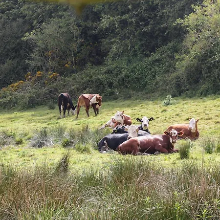 Applegarth Semesterbostad Scarborough