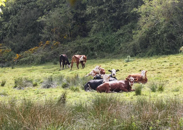 Applegarth Semesterbostad Scarborough